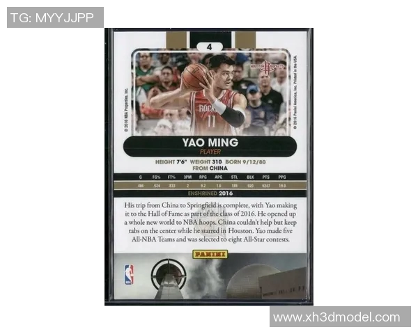 丁铁姚明：从篮球场到商业舞台的传奇之路与人生启示