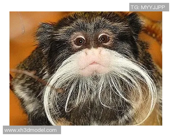 外国足球明星街头恶搞大揭秘搞笑瞬间让你捧腹大笑的精彩片段合集 外国足球明星街头恶搞大揭秘搞笑瞬间让你捧腹大笑的精彩片段合集