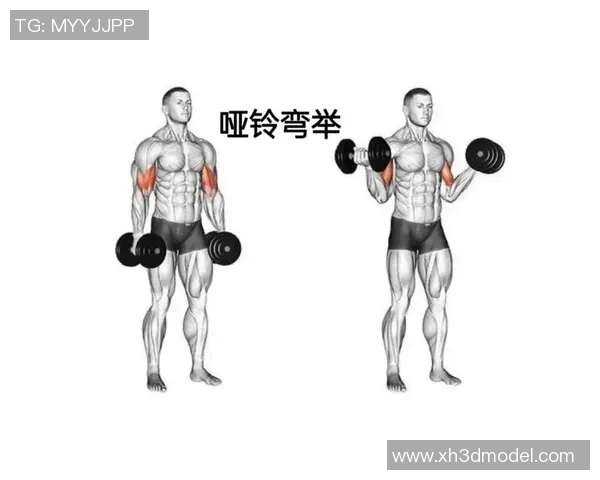 郑多燕哑铃多重训练法揭秘助你塑造完美身材与增强力量